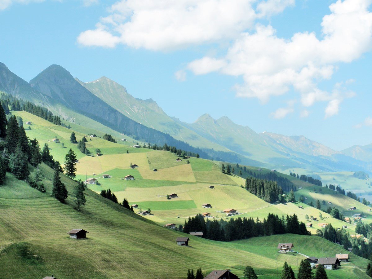 Adelboden | LAT.40