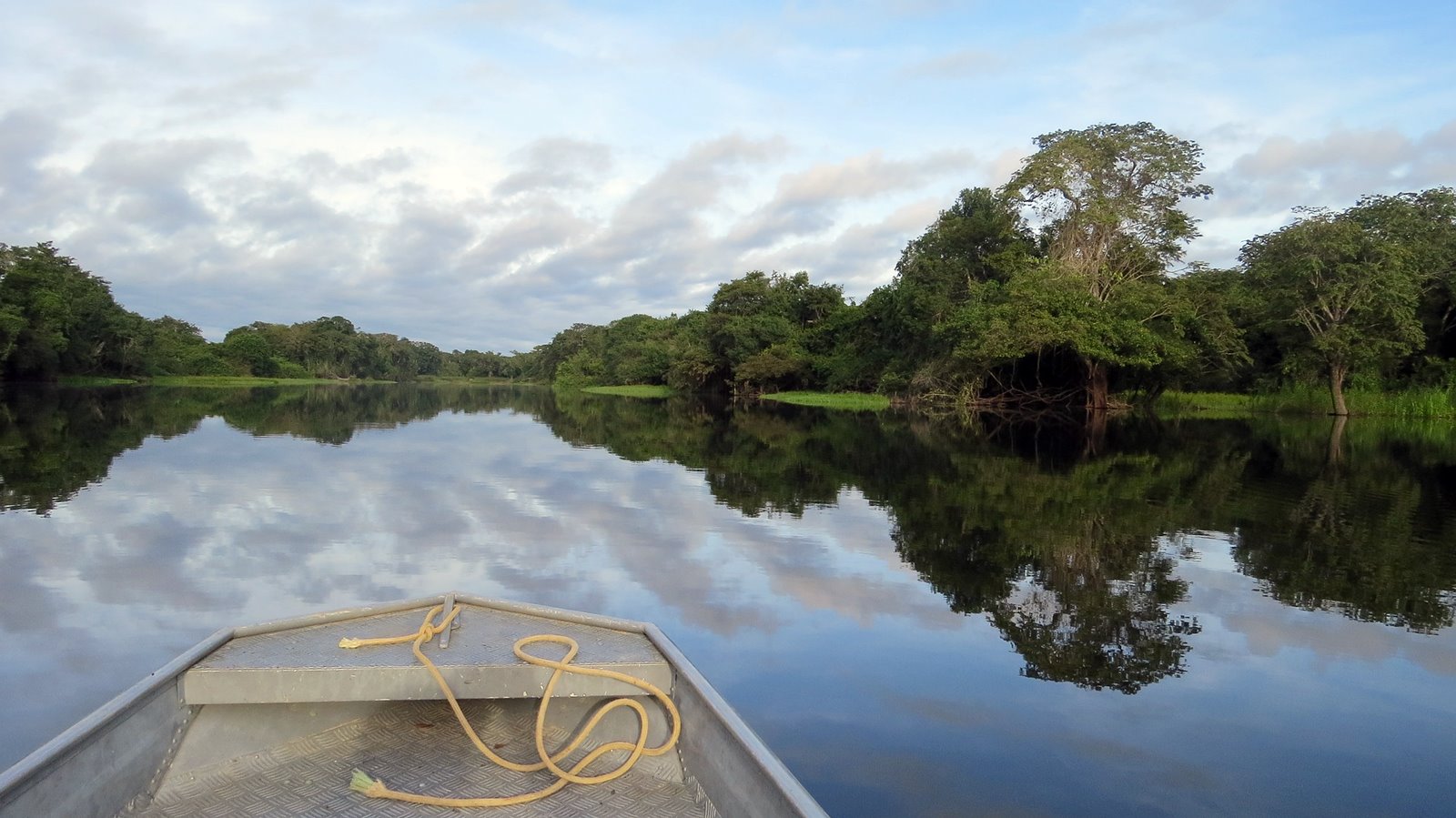 Amazonas Ecuador | LAT.40