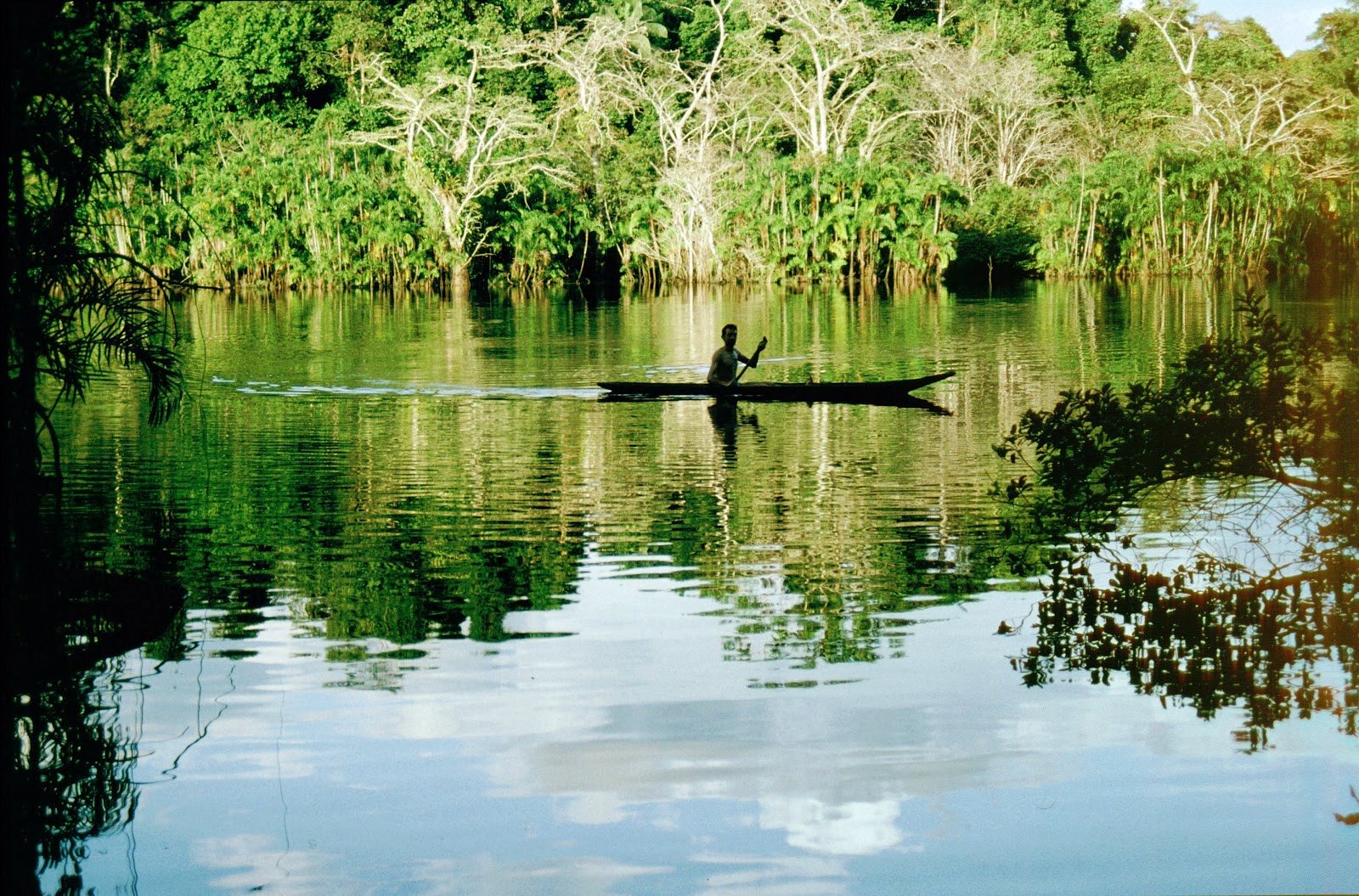Amazonas Ecuador | LAT.40