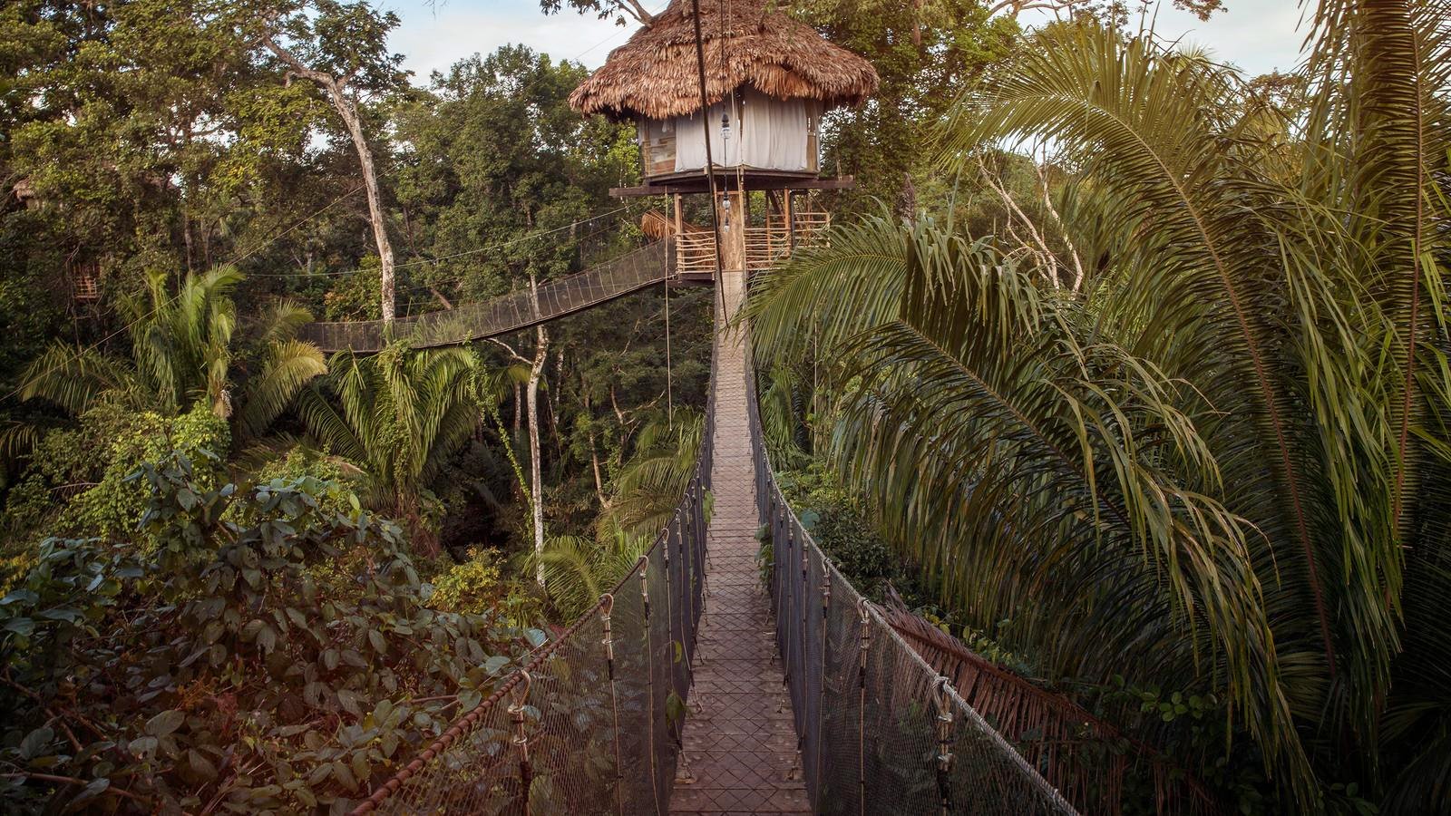 Amazonas Ecuador | LAT.40