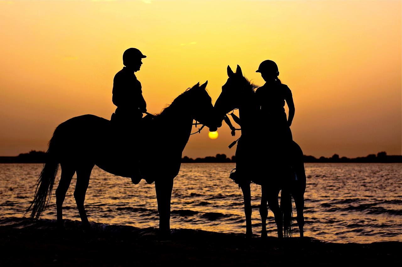 Anantara Sir Bani Yas Island Al Yamm Villa Resort en Abu Dhabi