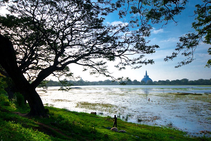 Anuradhapura | LAT.40