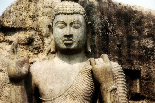 Aukana | LAT.40