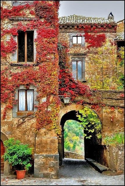 Bagnoregio | LAT.40