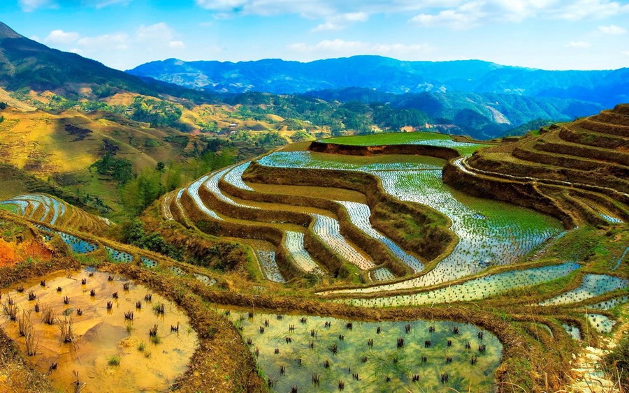 Banaue | LAT.40