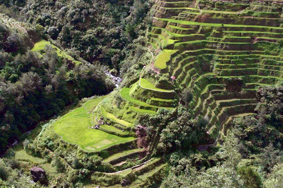 Banaue | LAT.40