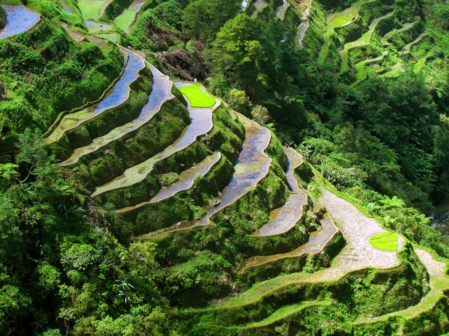 Banaue | LAT.40