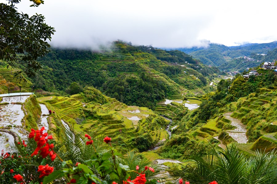 Banaue | LAT.40