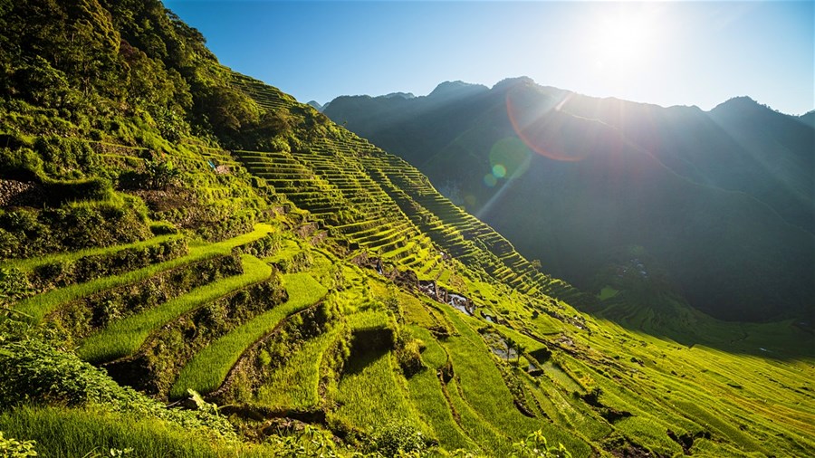 Banaue | LAT.40