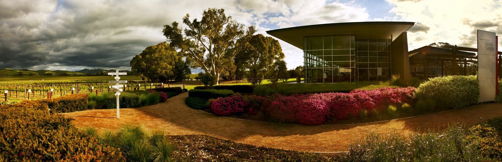 Barossa Valley | LAT.40