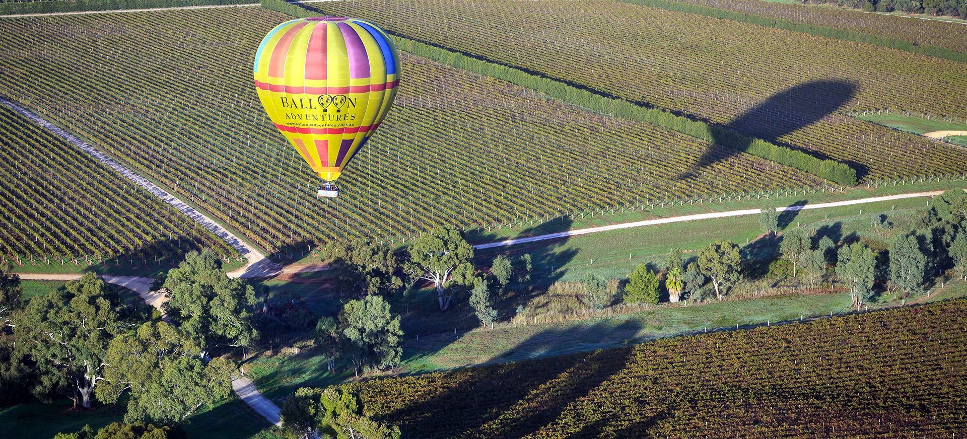 Barossa Valley | LAT.40