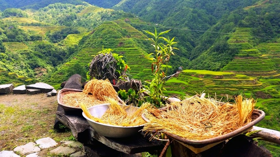 Batad | LAT.40