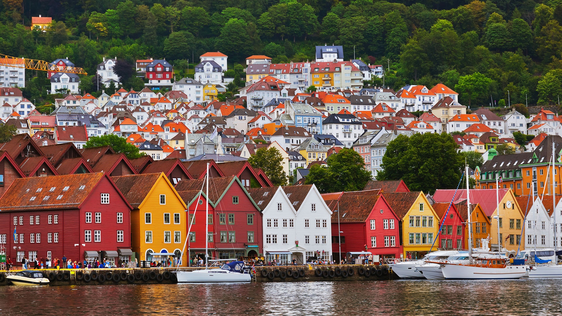 Bergen | LAT.40