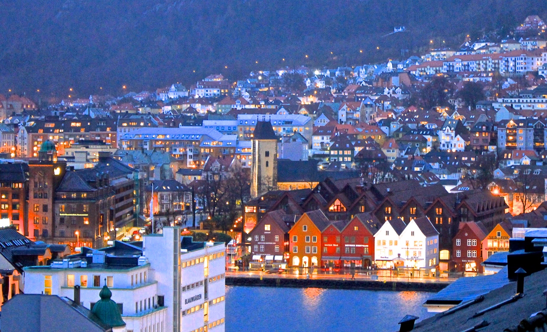 Bergen | LAT.40