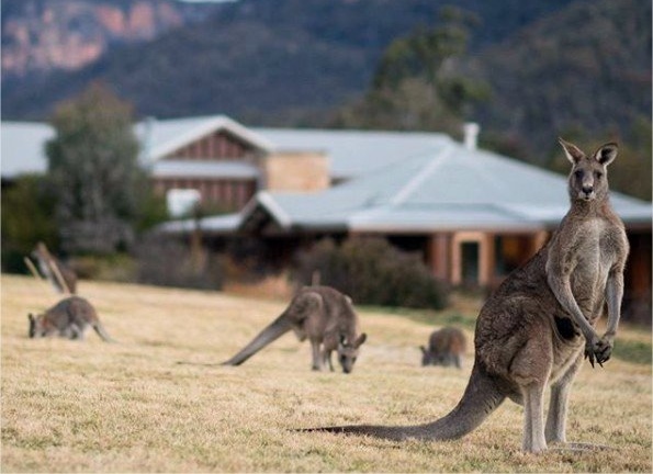 Australia y Nueva Zelanda de ensueño diseñado por LAT.40
