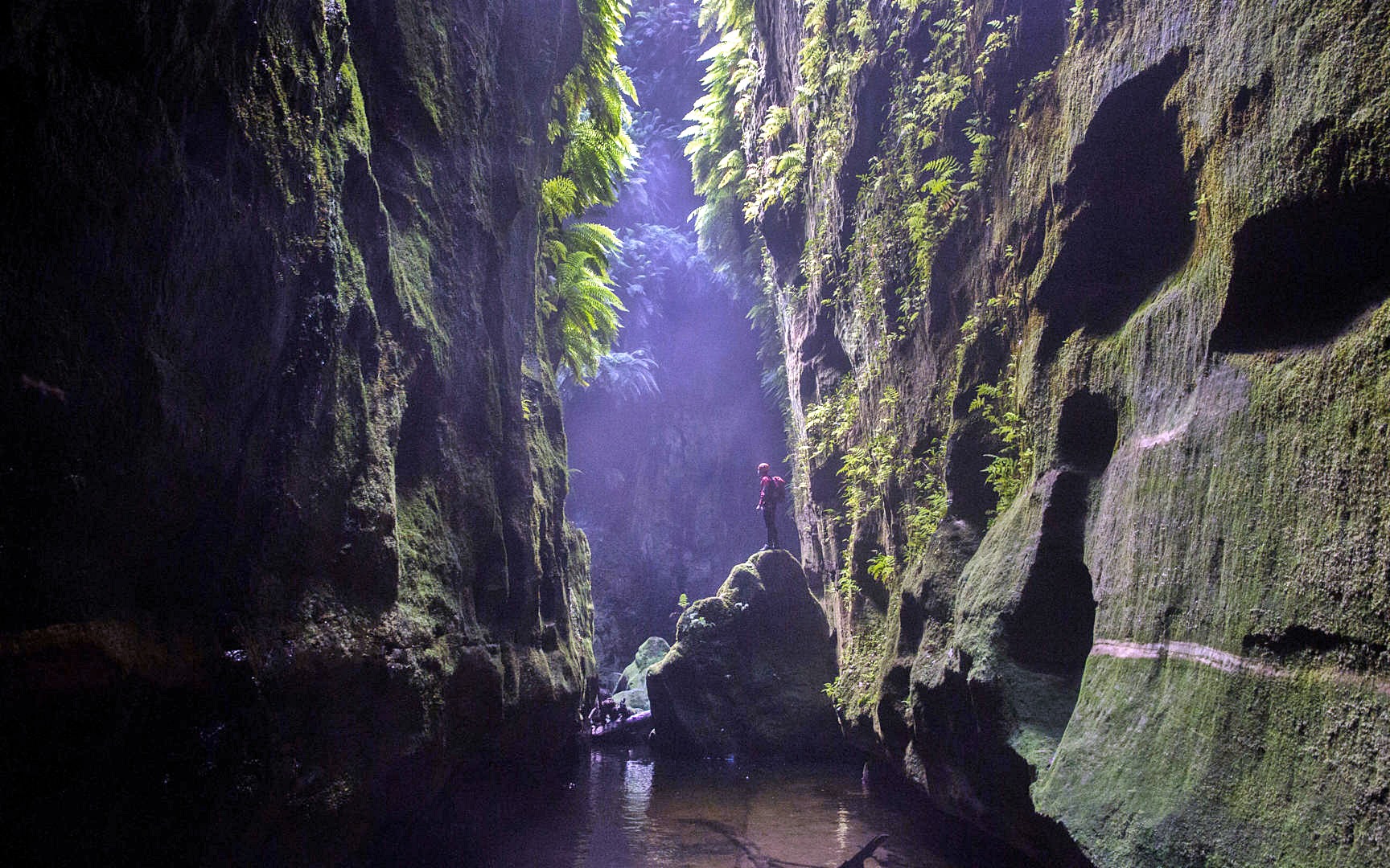 Blue Mountains | LAT.40