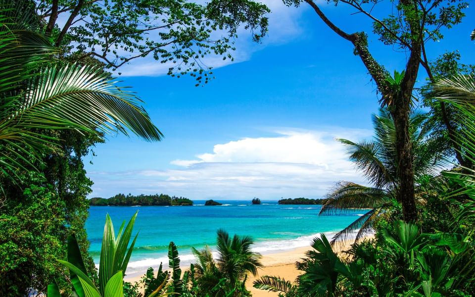 Red Frog Beach Island Resort en Bocas del Toro