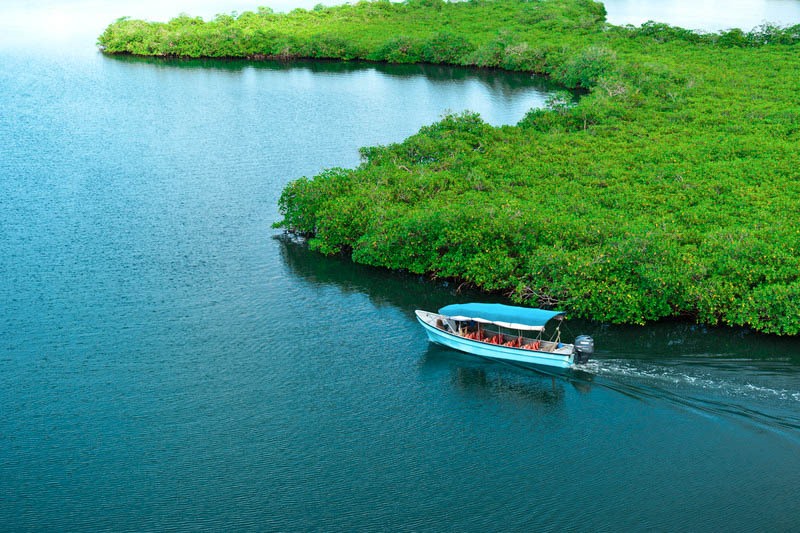 Red Frog Beach Island Resort en Bocas del Toro