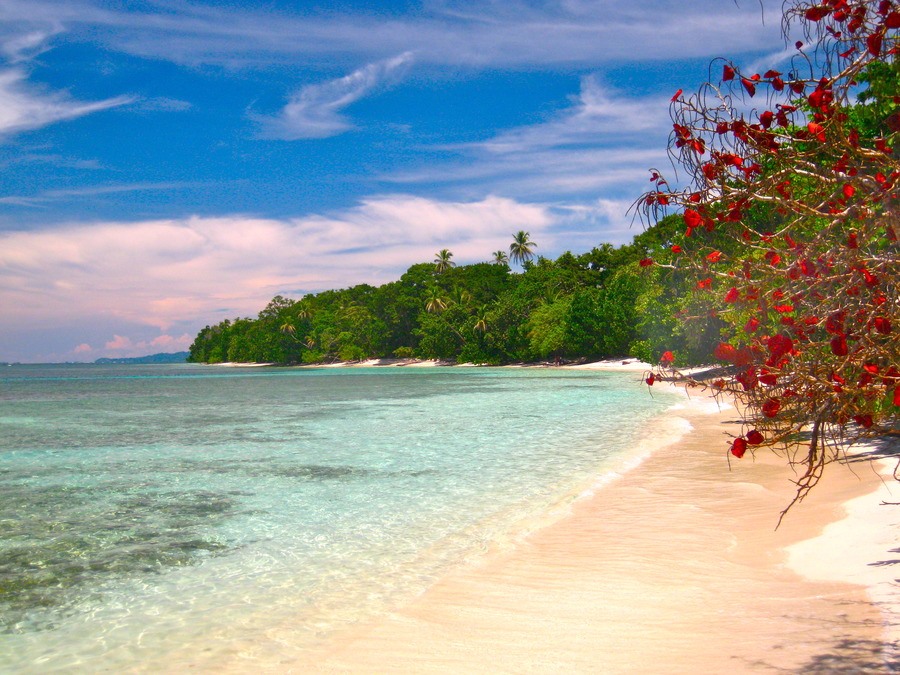Red Frog Beach Island Resort en Bocas del Toro