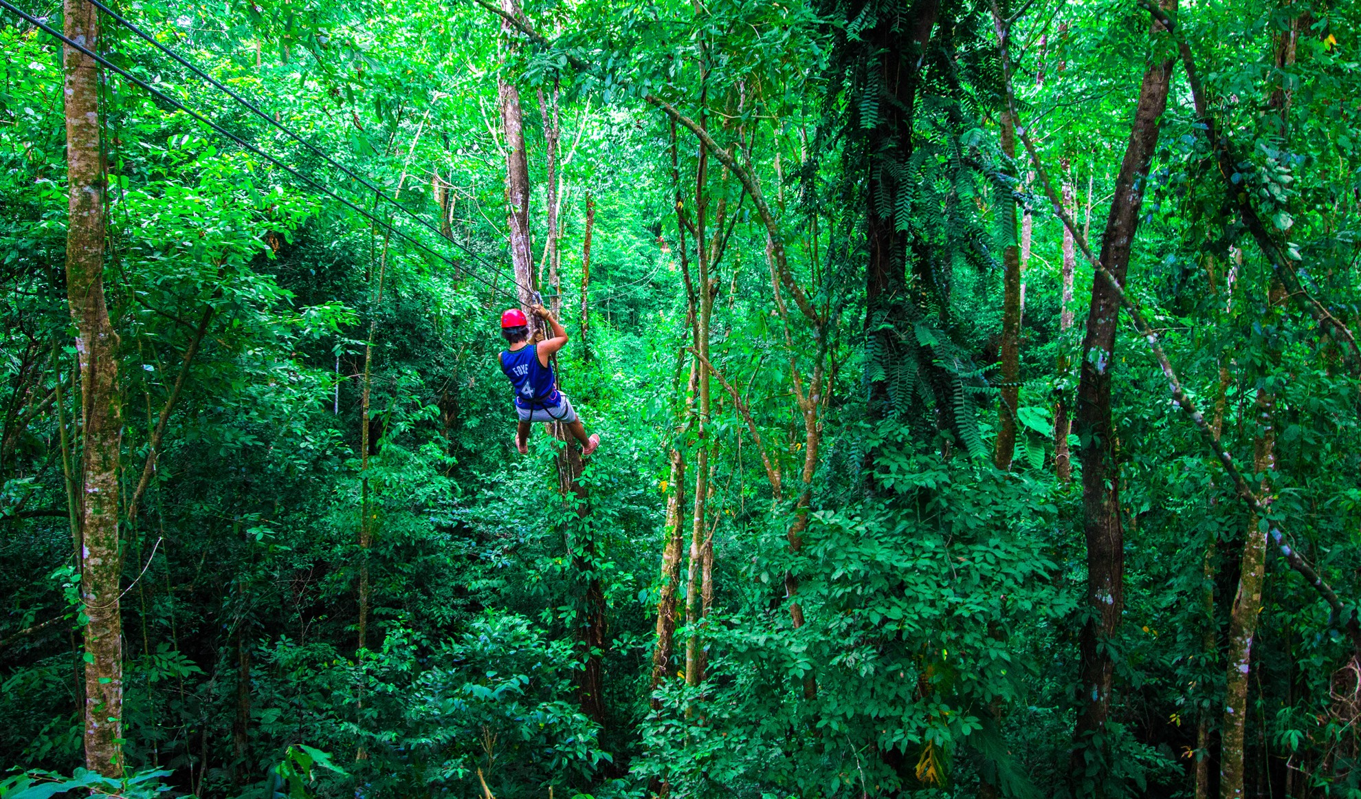 Red Frog Beach Island Resort en Bocas del Toro