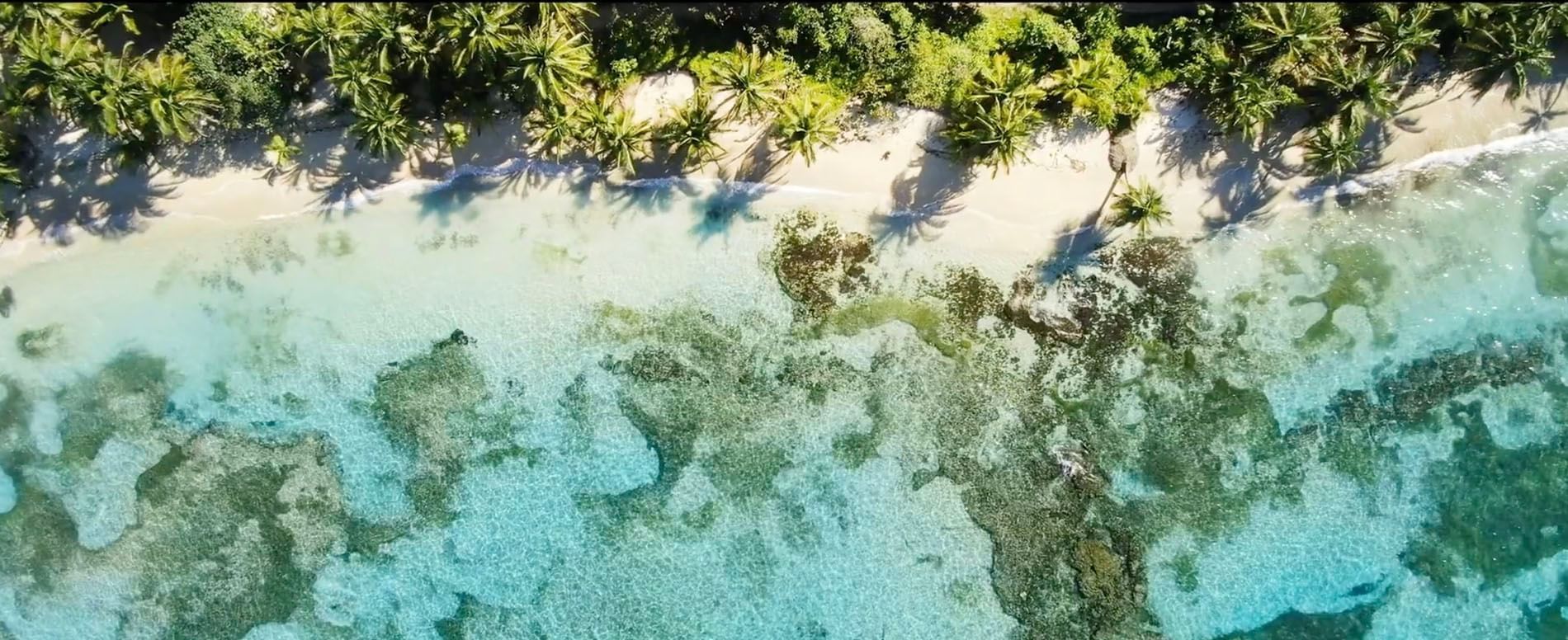 Red Frog Beach Island Resort en Bocas del Toro