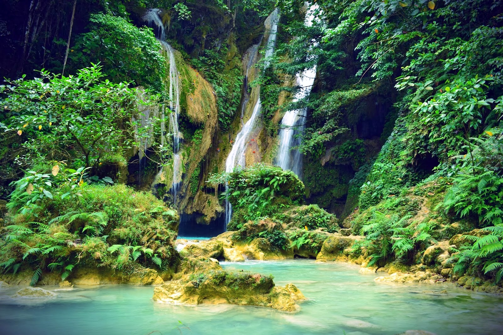 Bohol | LAT.40