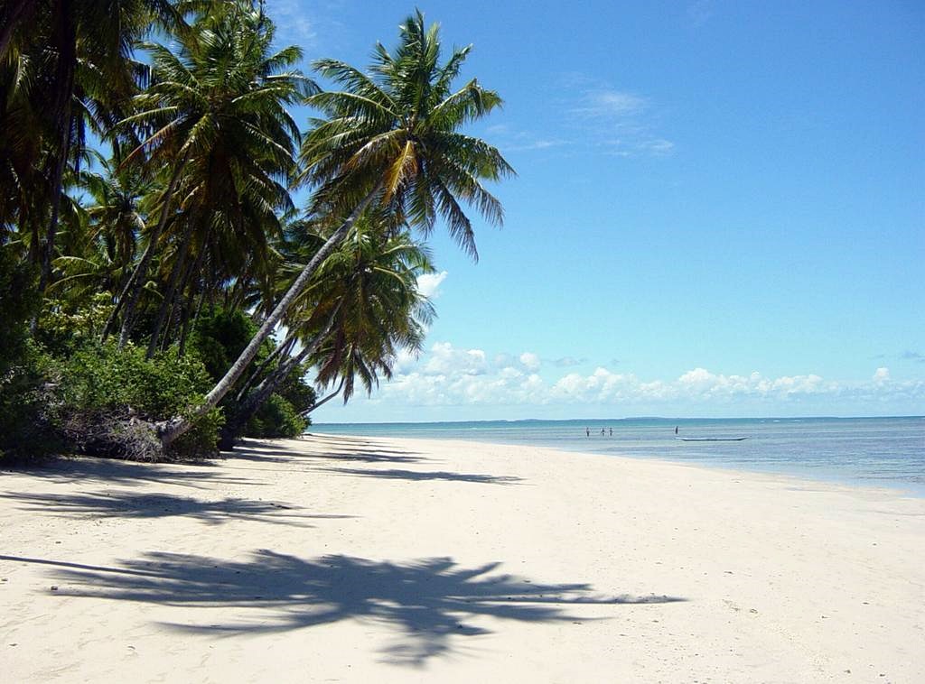 Boipeba | LAT.40