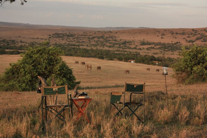Borana Wildlife Conservacy