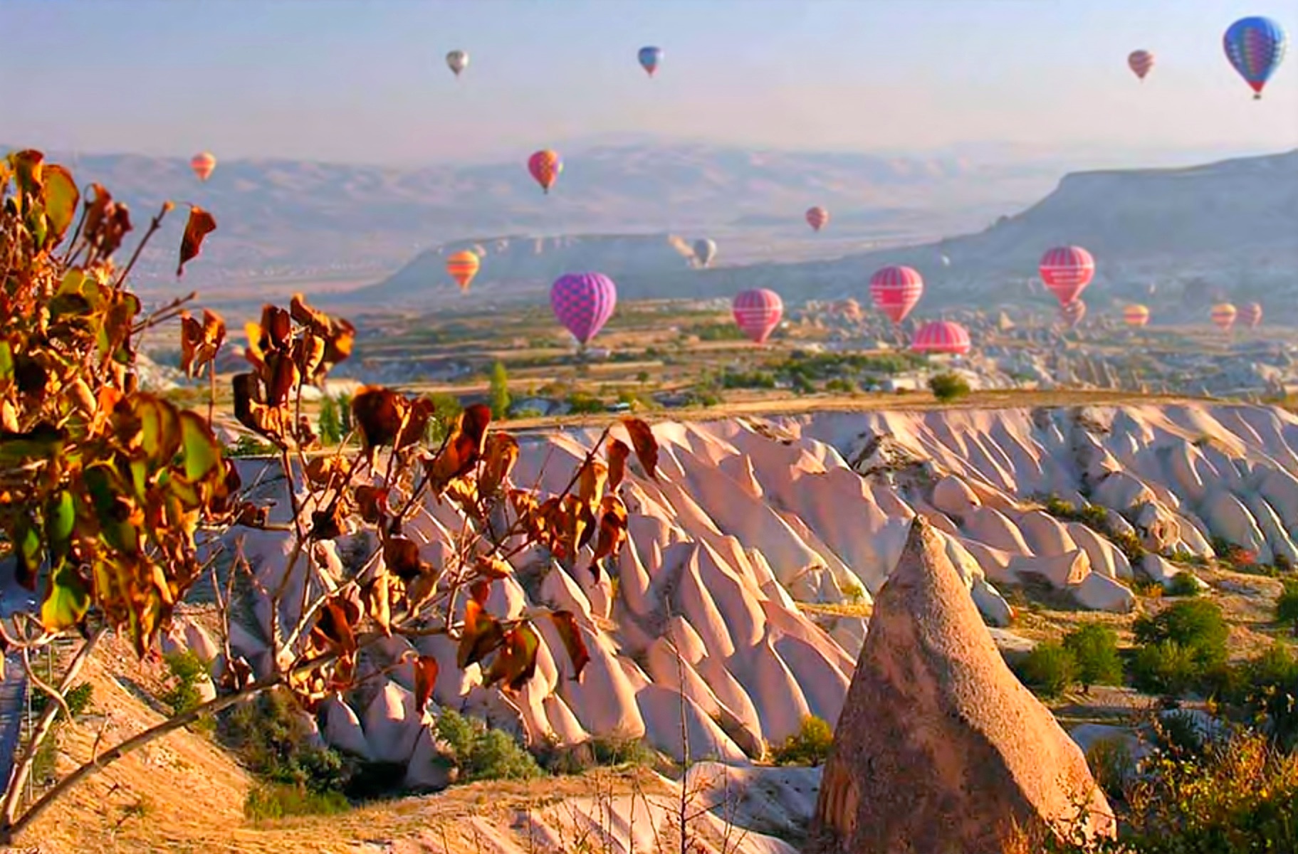 Capadocia | LAT.40