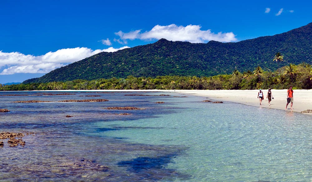 Cape Tribulation | LAT.40