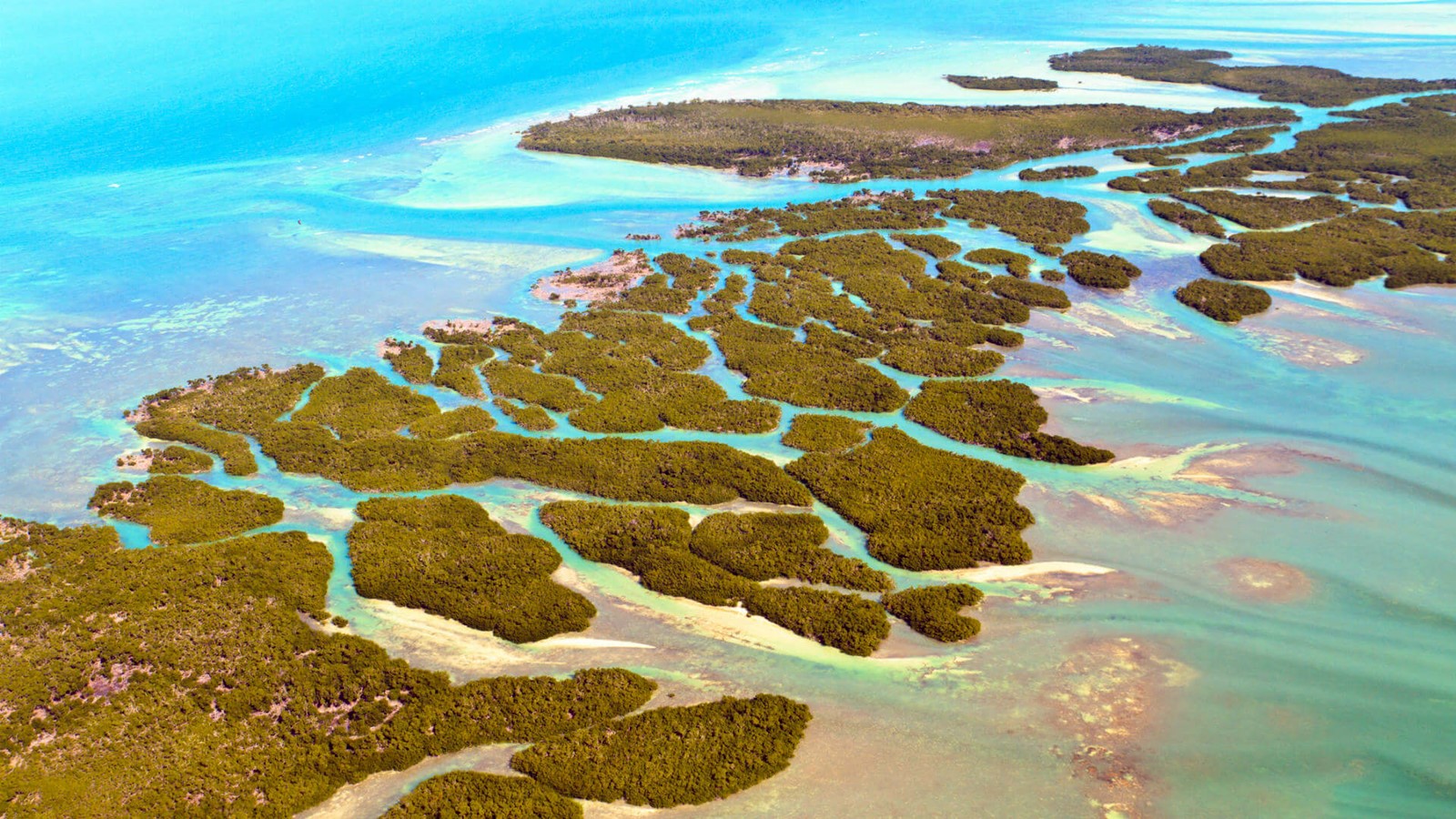 Cayos Florida | LAT.40