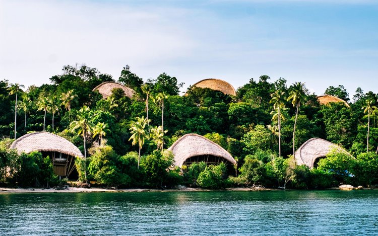 Cempedak en Cempedak Island
