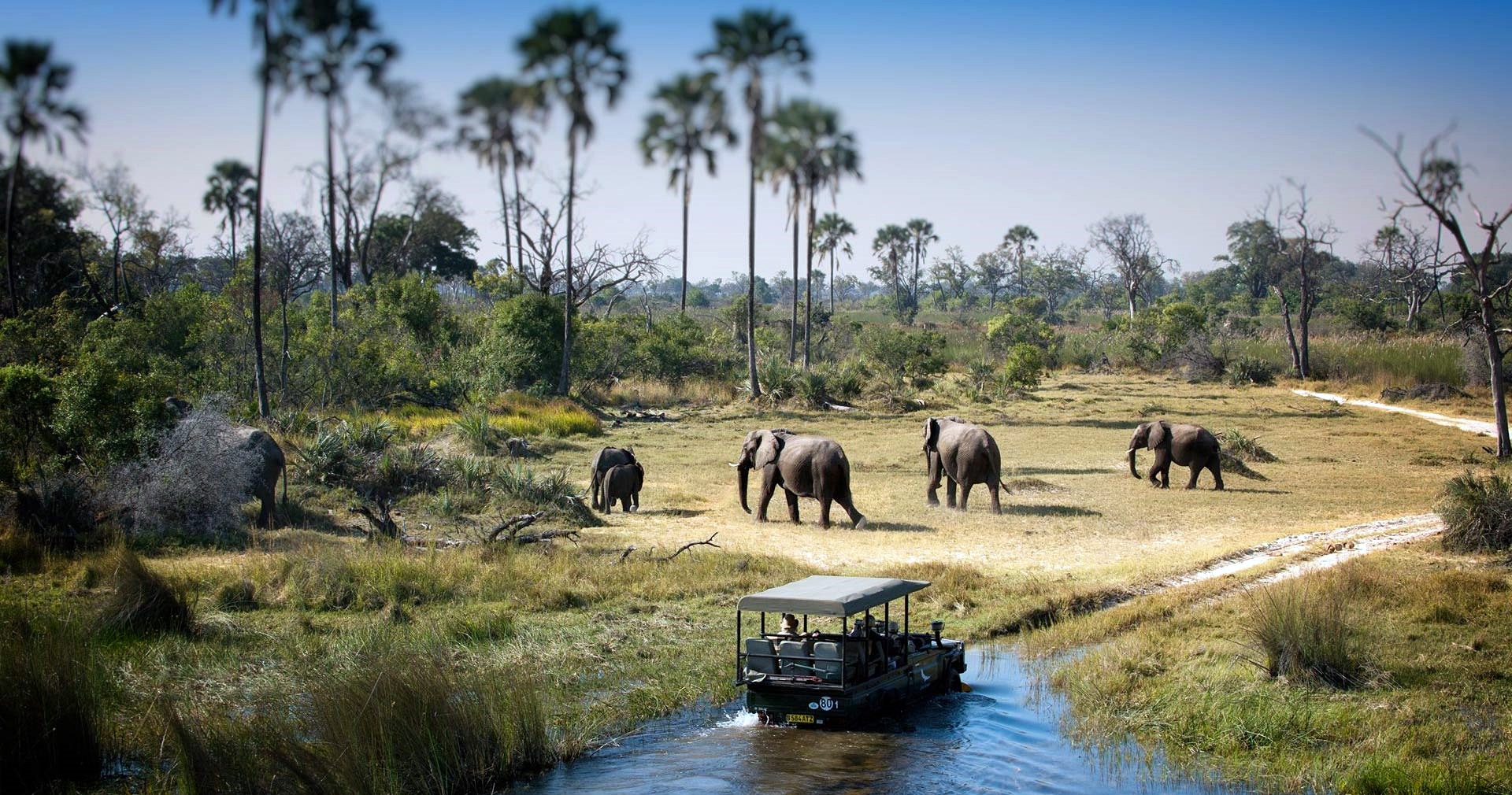 Victoria Falls