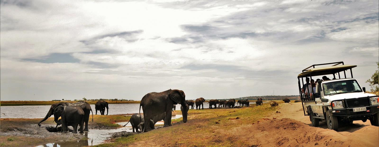 Chobe | LAT.40