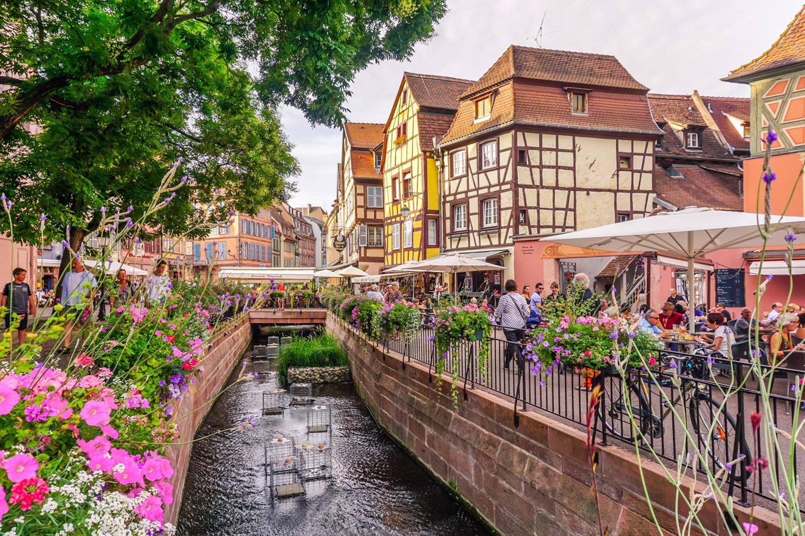 Colmar | LAT.40