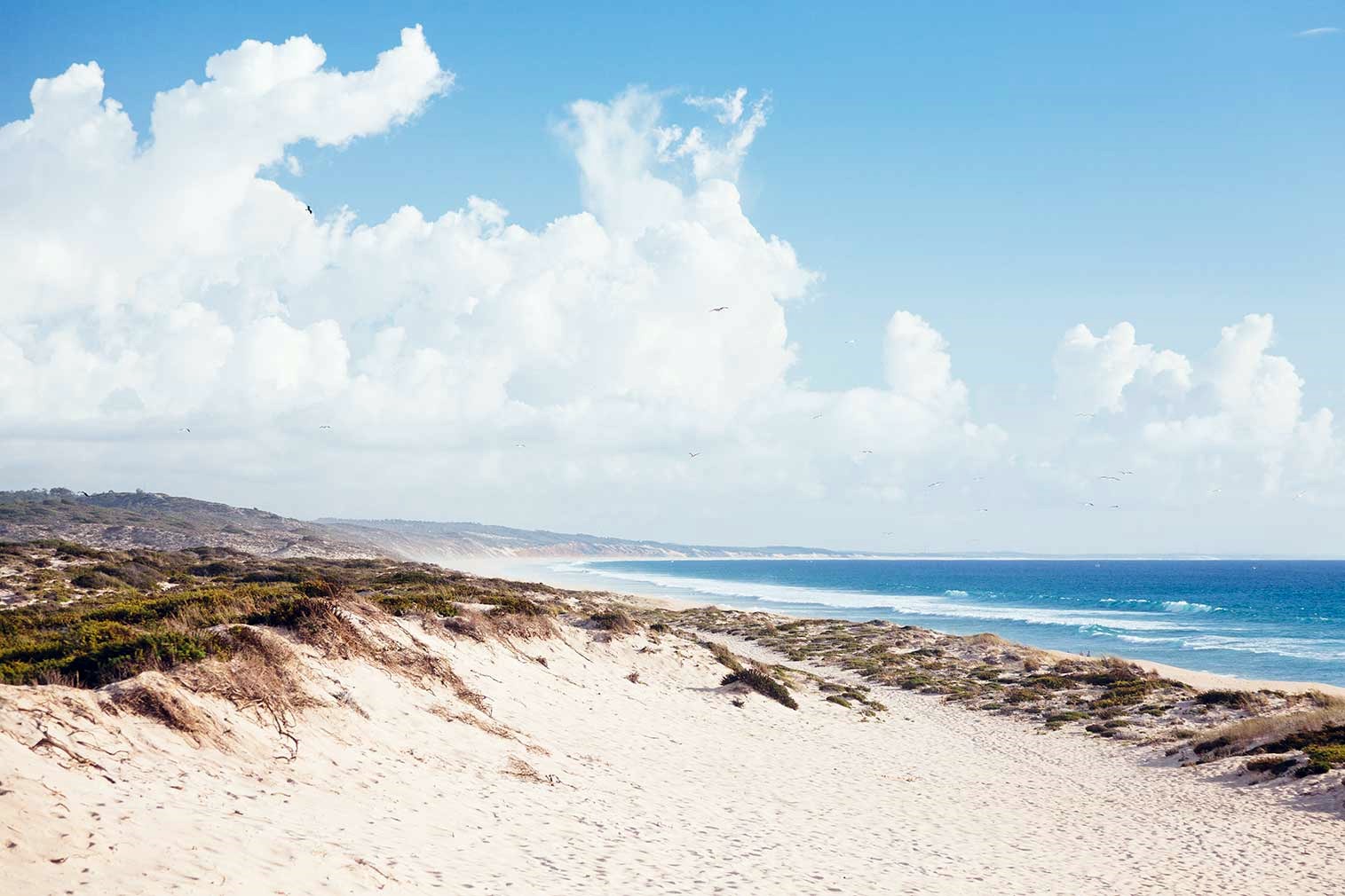 Comporta | LAT.40