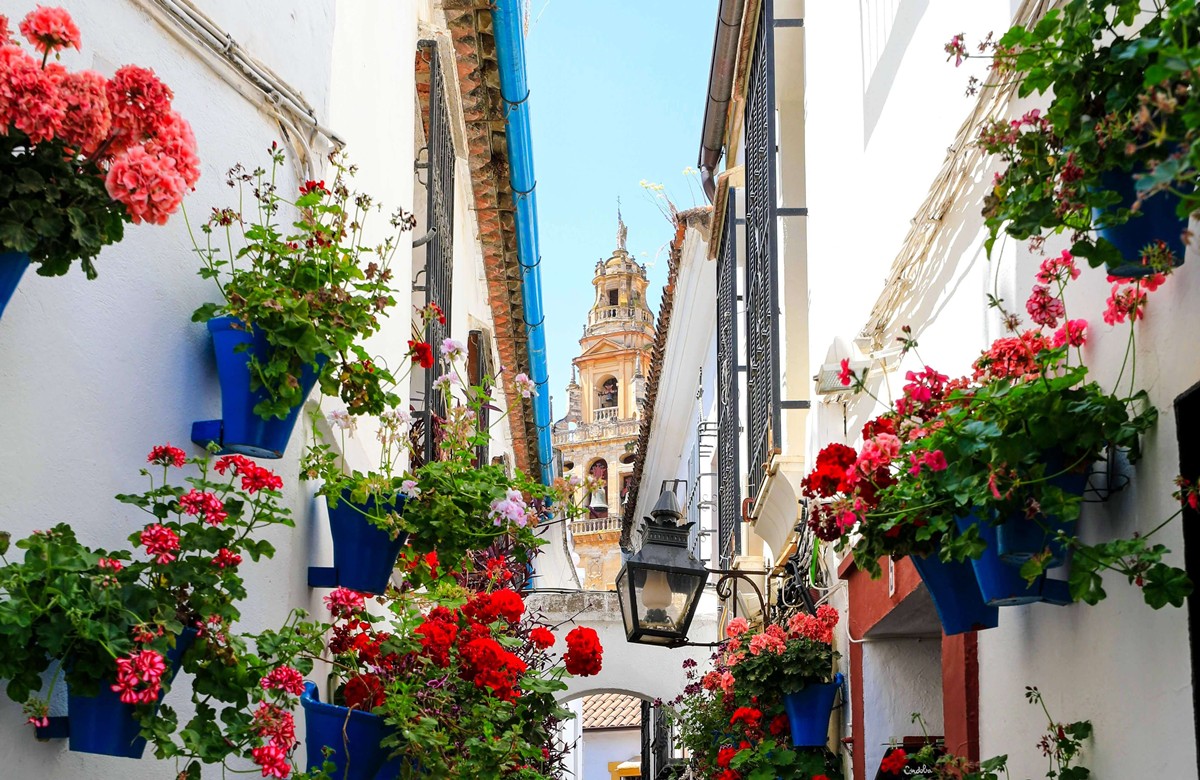 Córdoba | LAT.40