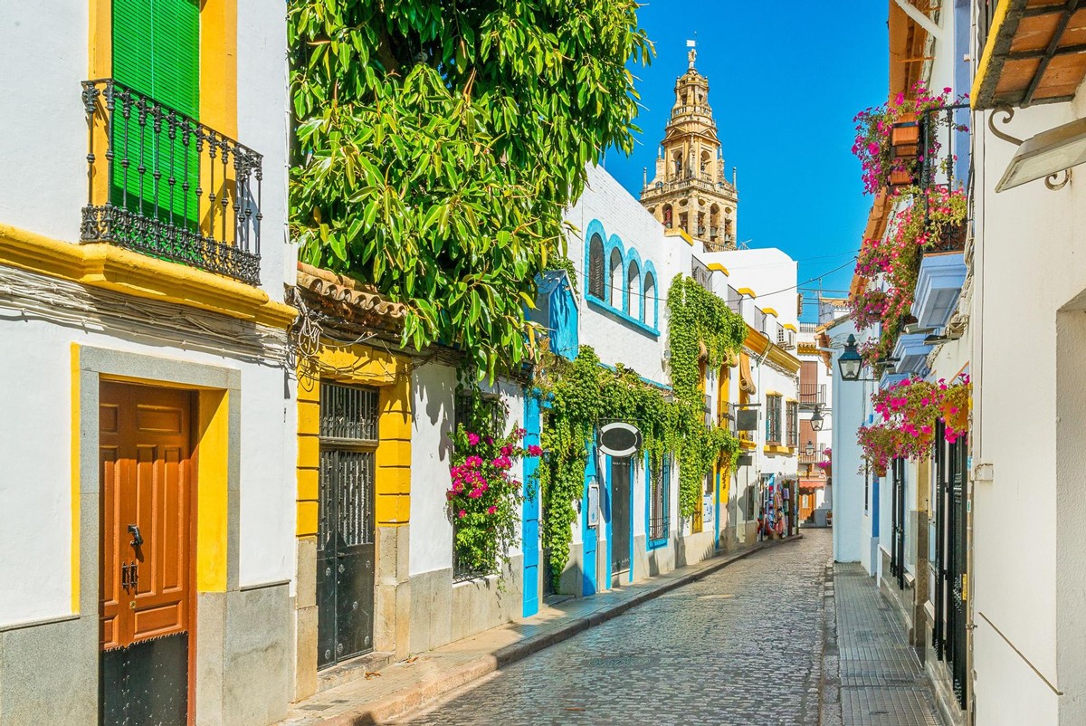 Córdoba | LAT.40