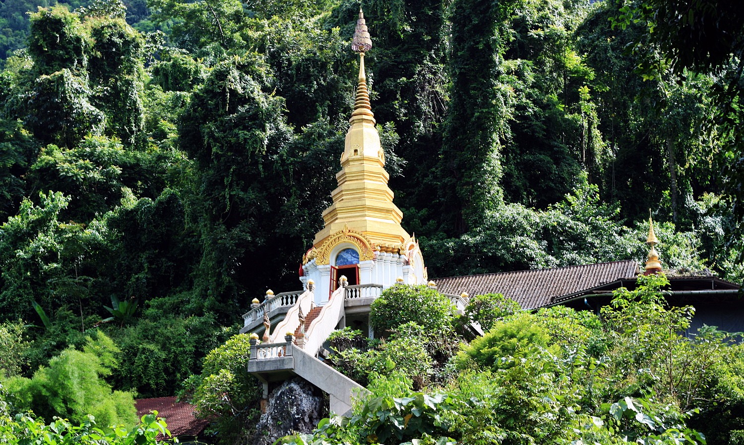 Cuevas Chiang Dao en elefante | LAT.40