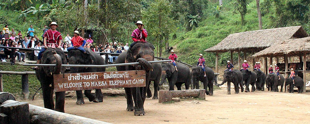 Cuevas Chiang Dao en elefante | LAT.40