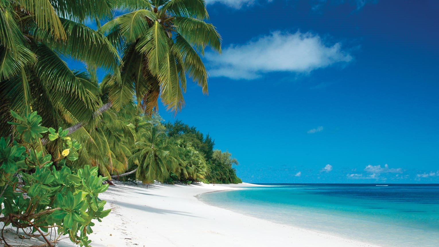 Imagen de viaje LAT.40