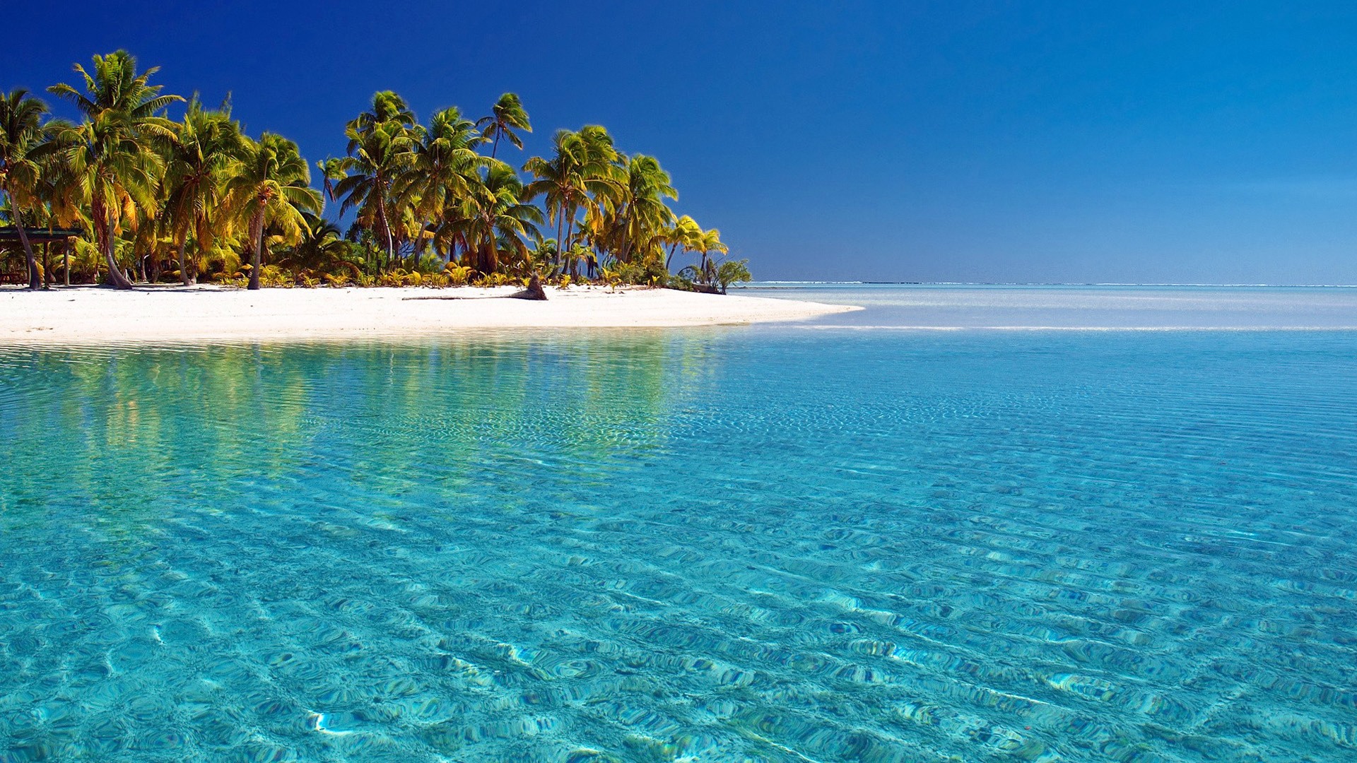 Diani Beach | LAT.40