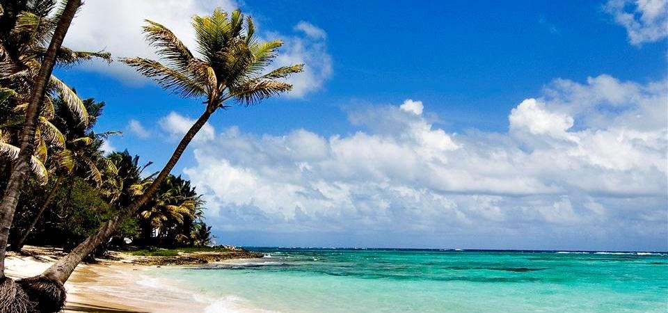 Diani Beach | LAT.40