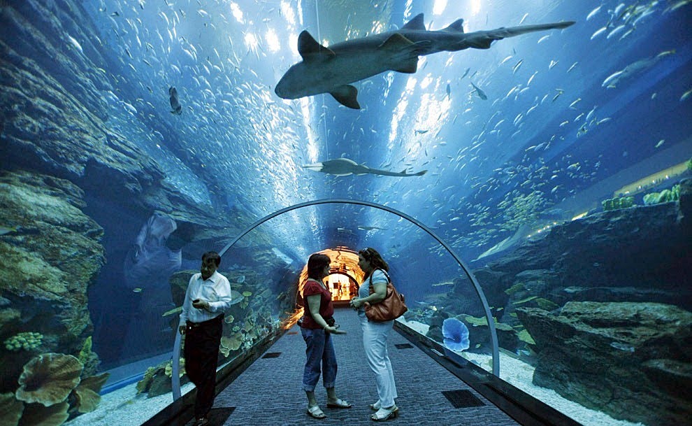 Inolvidable viaje a Dubai y Maldivas diseñado por LAT.40