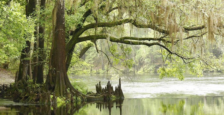 Everglades National Park | LAT.40