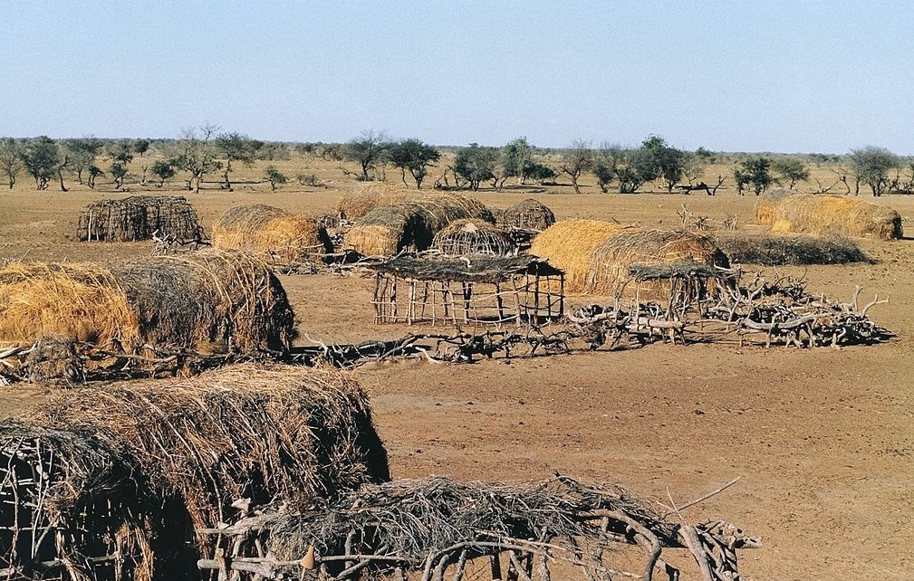 Ferlo Desert | LAT.40