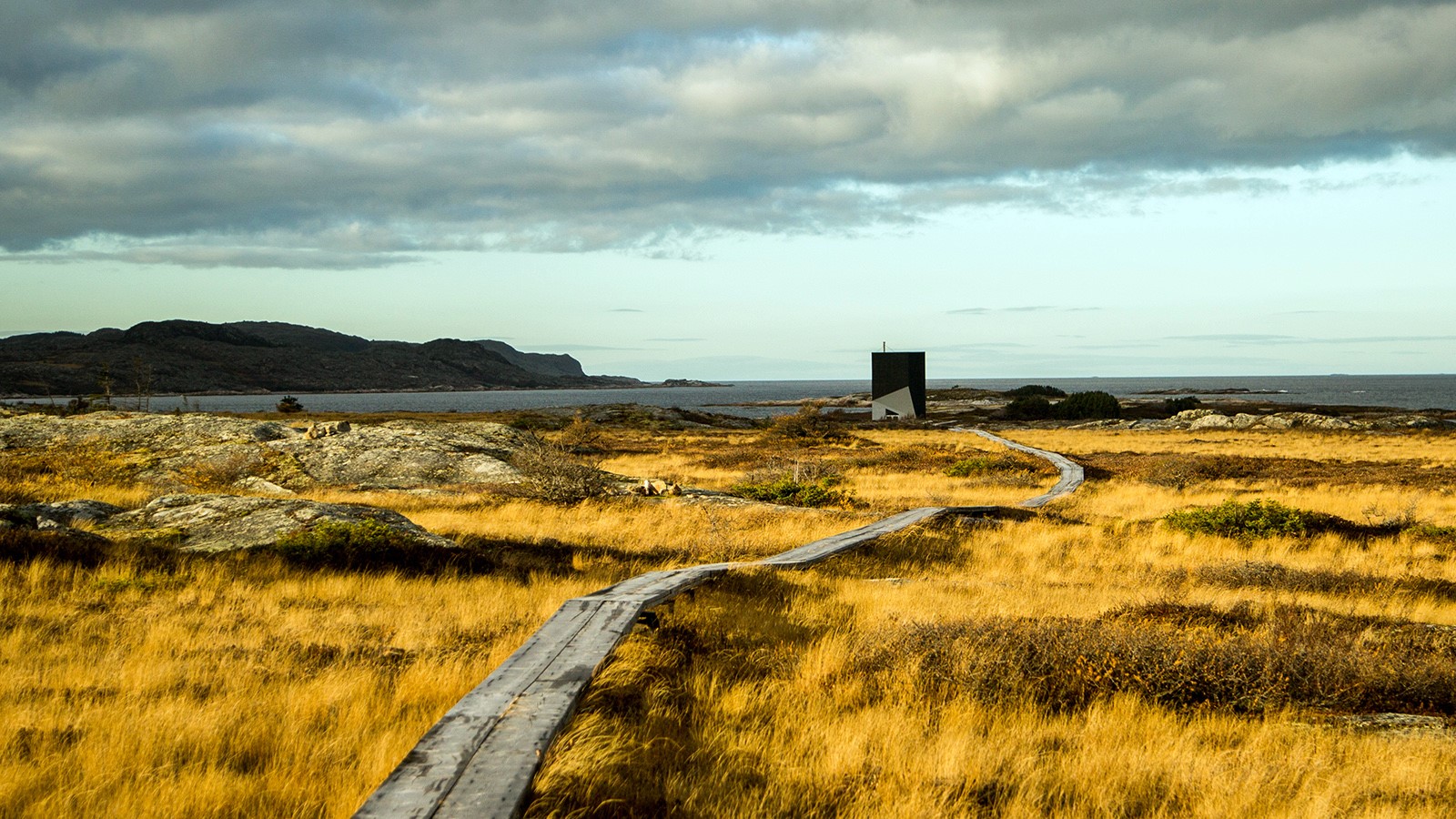 Fogo Island | LAT.40
