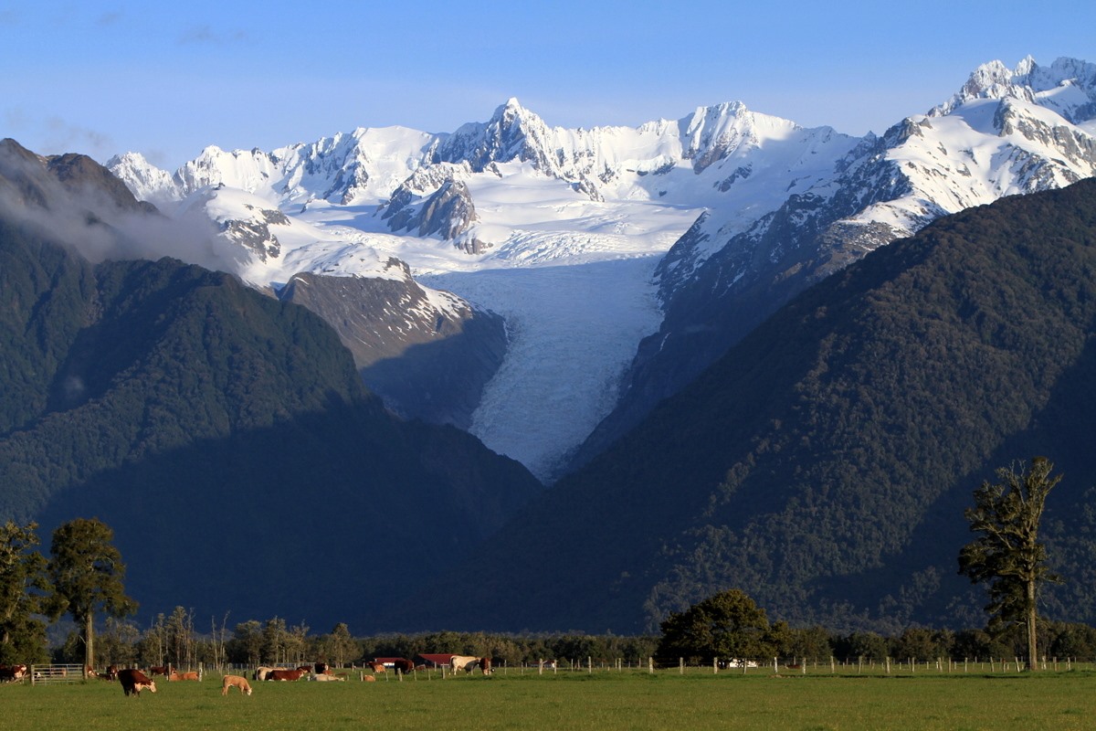 Fox Glacier | LAT.40