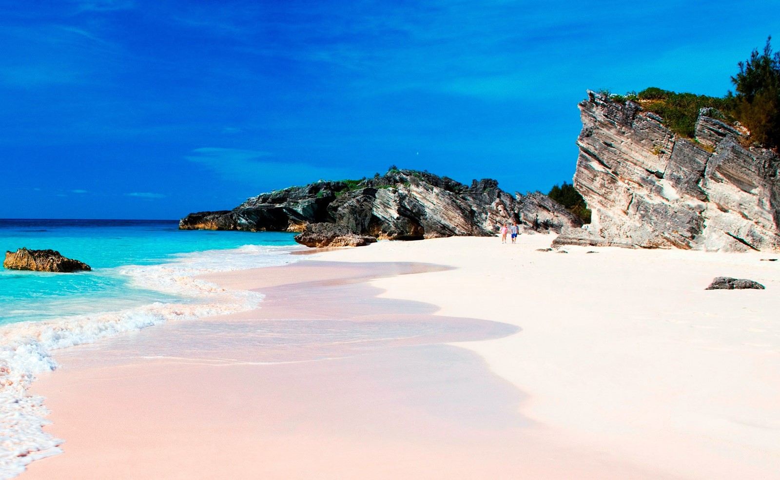Harbour Island | LAT.40