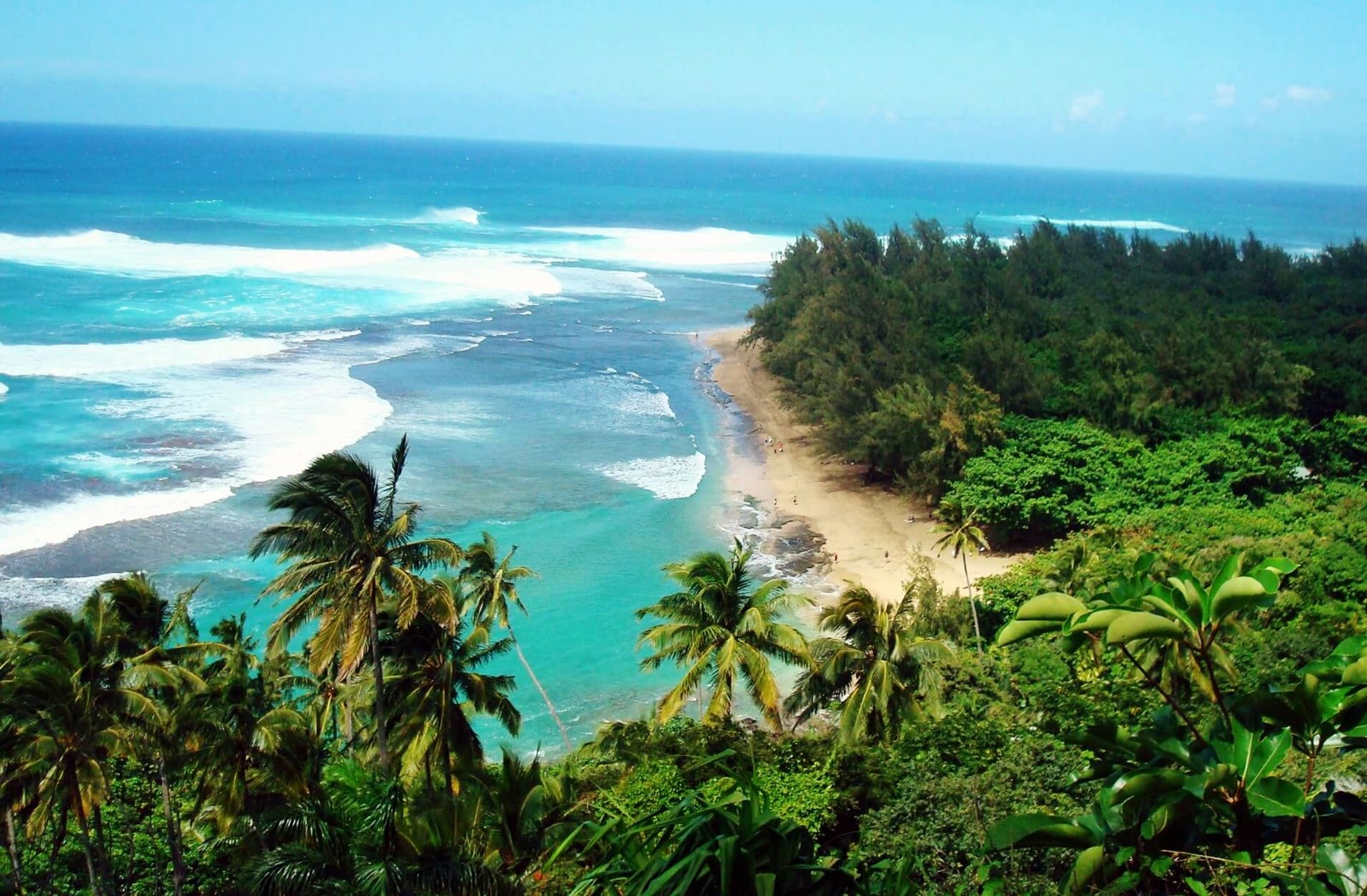 Hawaii | LAT.40